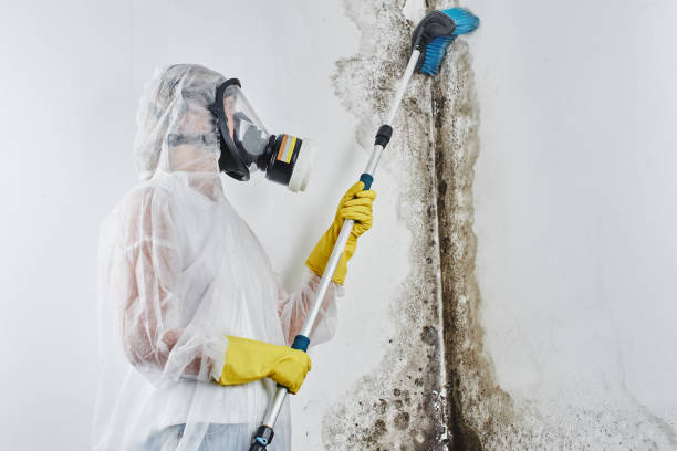 Best Crawl Space Mold Removal  in Woodsboro, MD