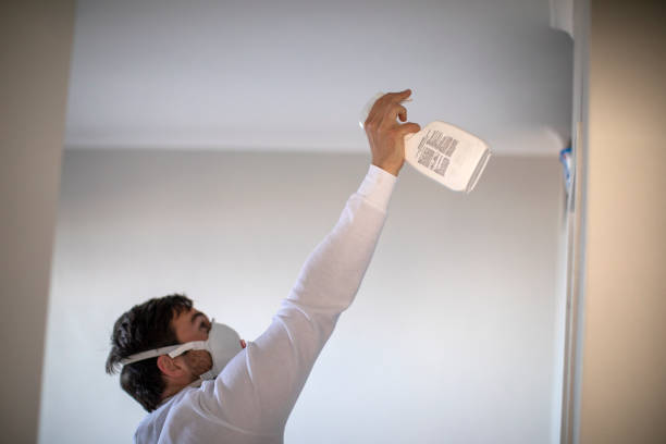 Certified Mold Removal in Woodsboro, MD