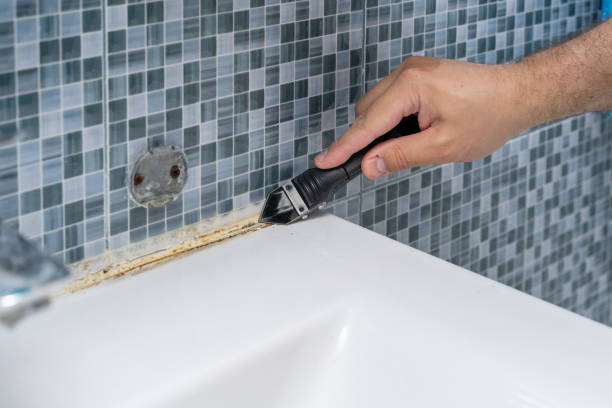 Best Mold Remediation  in Woodsboro, MD