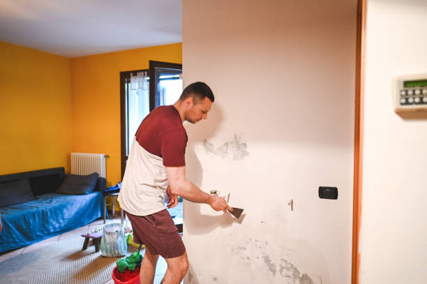 Best Mold Remediation  in Woodsboro, MD