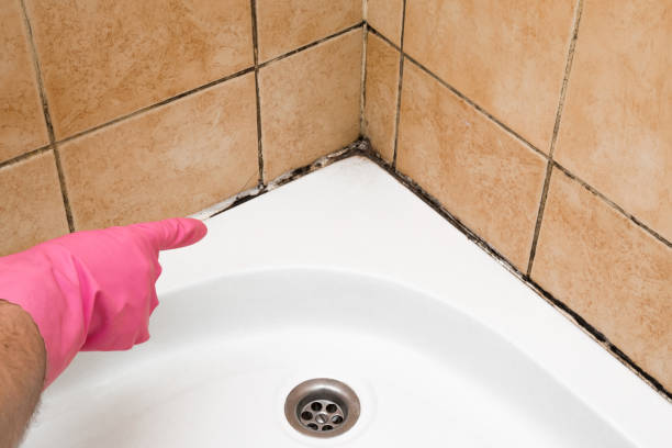 Best Fast Mold Removal  in Woodsboro, MD